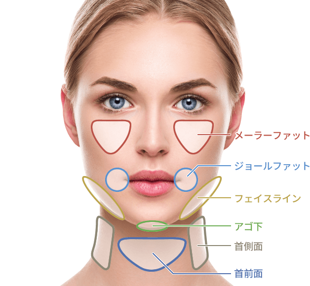 施術箇所の目安