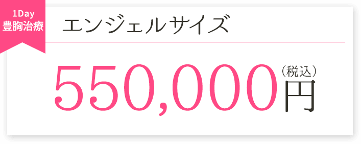 エンジェルサイズ550,000円（税込）